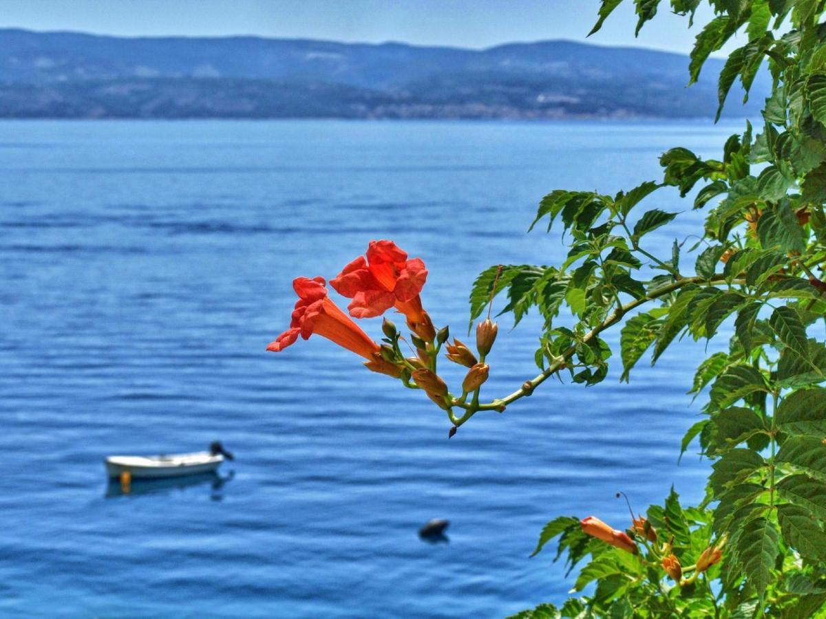 Apartments Neda Omiš Екстериор снимка